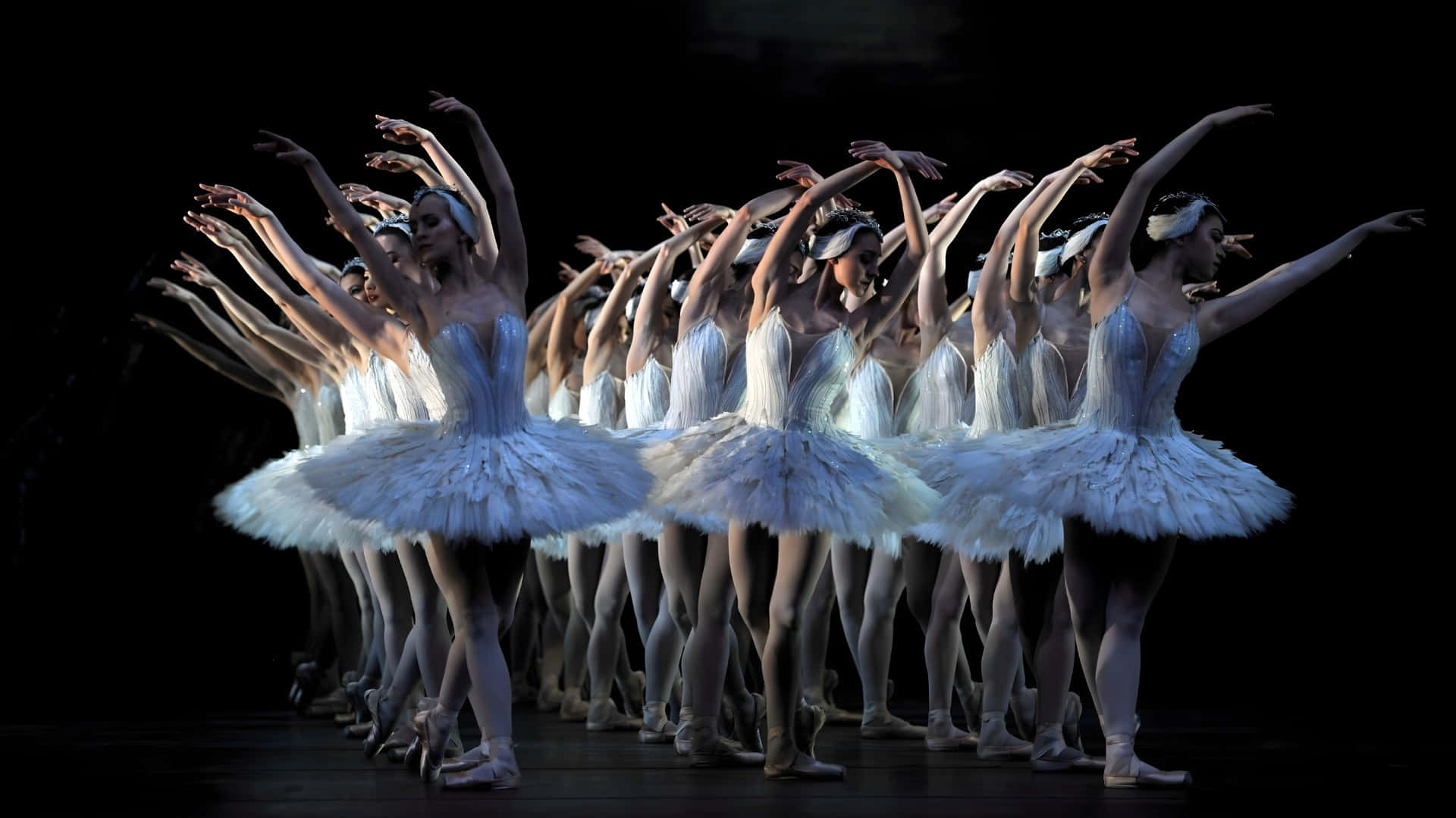 Swan Lake, ballet performance, white tutus, Full HD Desktop Wallpaper