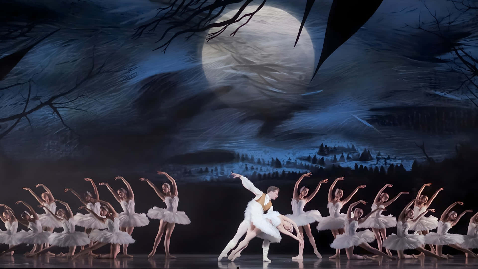 Swan Lake, ballet ensemble, white tutus, Full HD Desktop Wallpaper