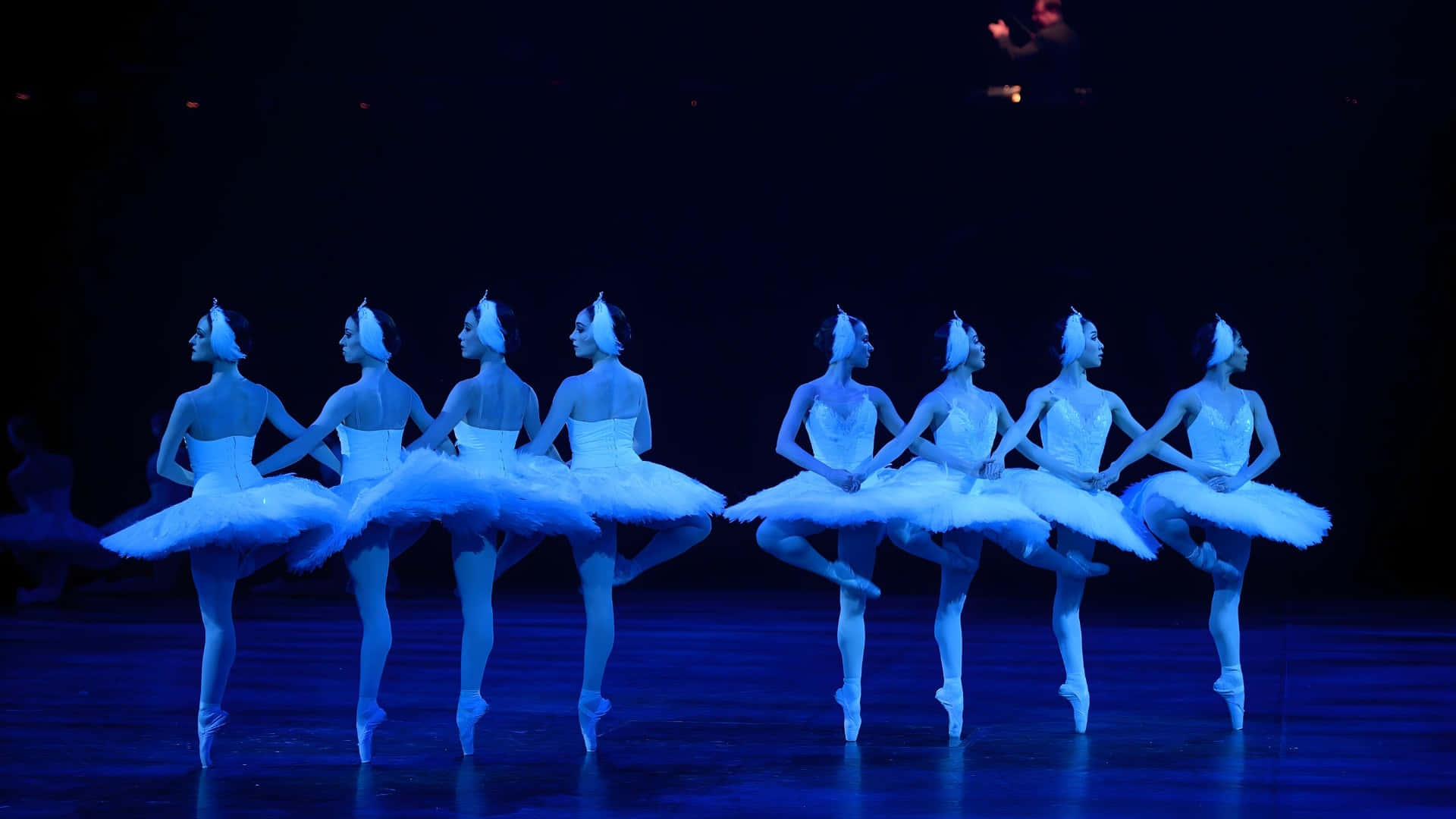 Swan Lake, ballet performance, white tutus, Full HD Desktop Wallpaper