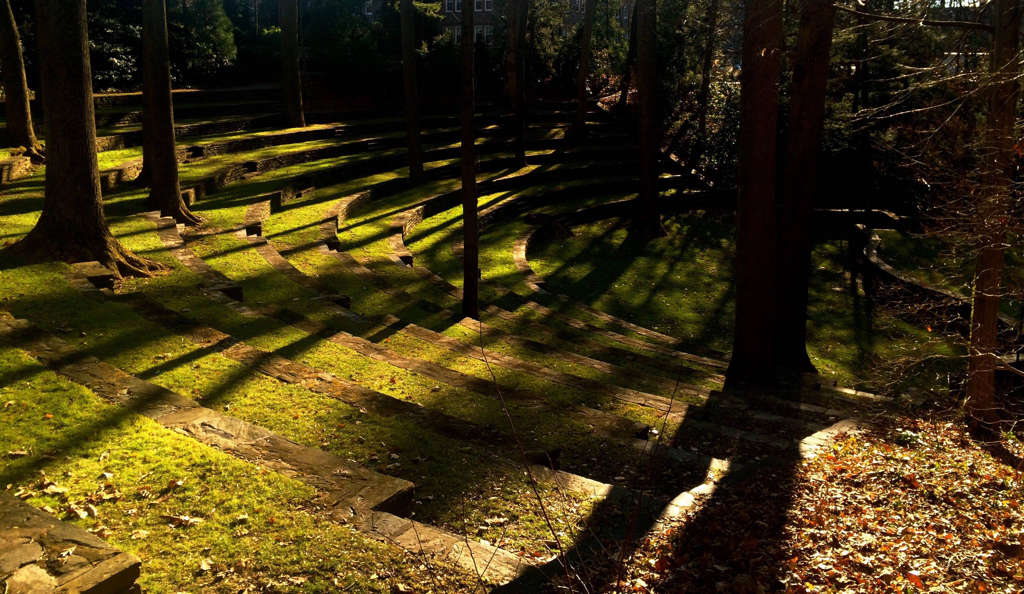 Swarthmore College, forest, sunlight, 2K Desktop Wallpaper