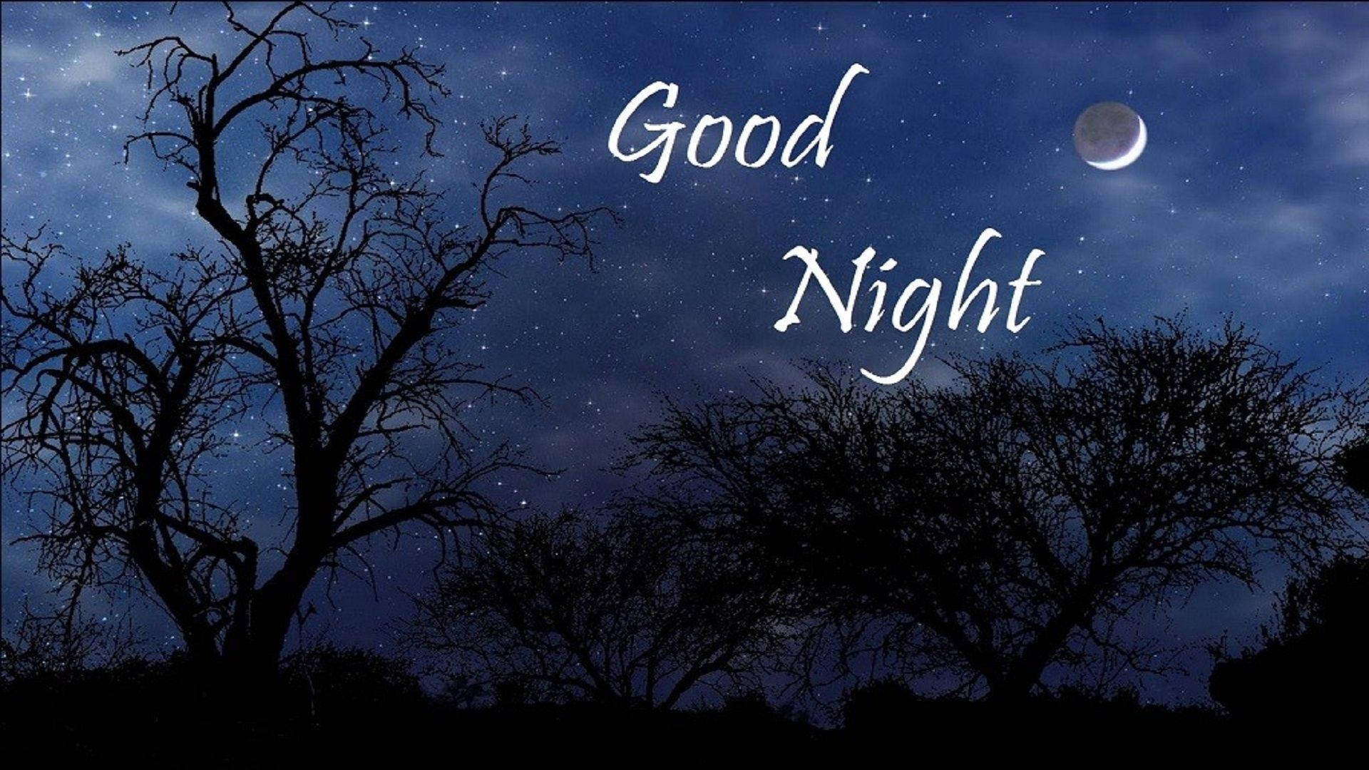 Sweet Dreams, forest, starry night sky, Full HD Desktop Wallpaper