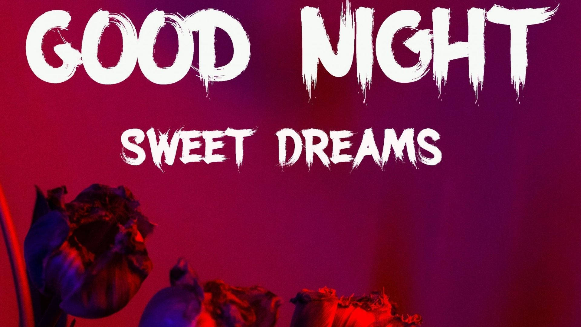 Sweet Dreams, red roses, purple background, Full HD Desktop Wallpaper