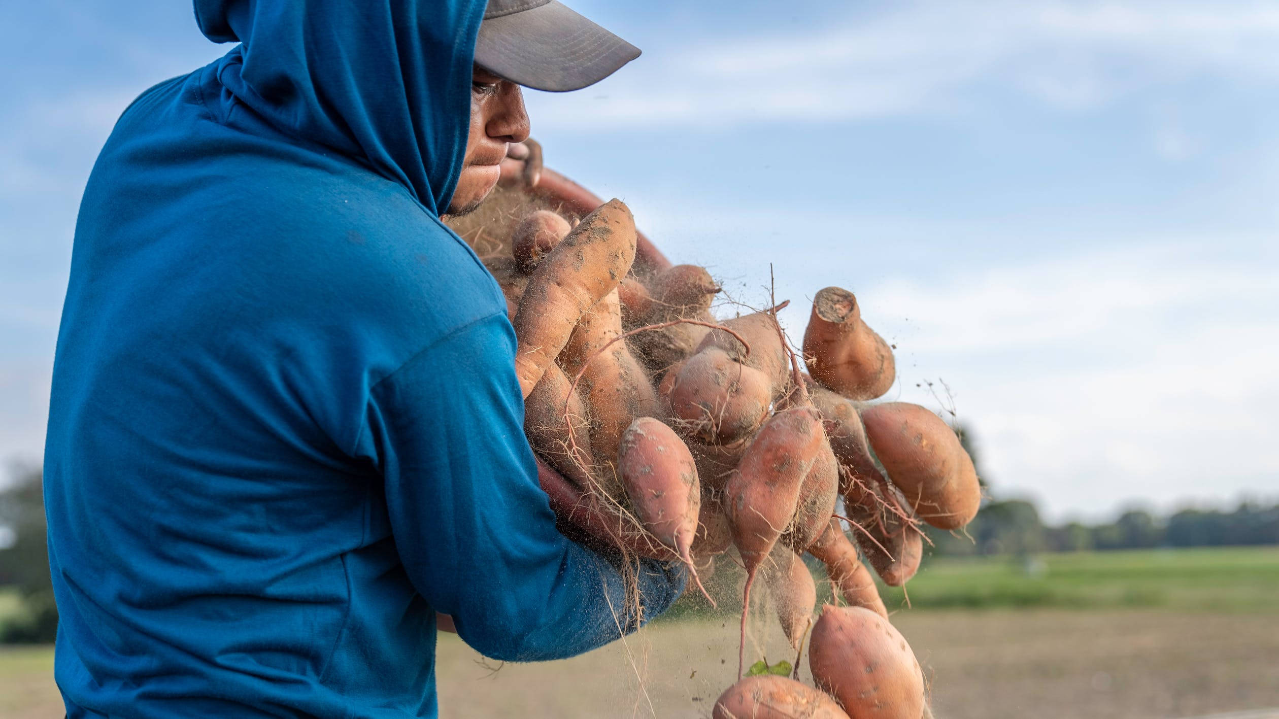 basket, sweet potato, blue hoodie, Full HD Desktop Wallpaper