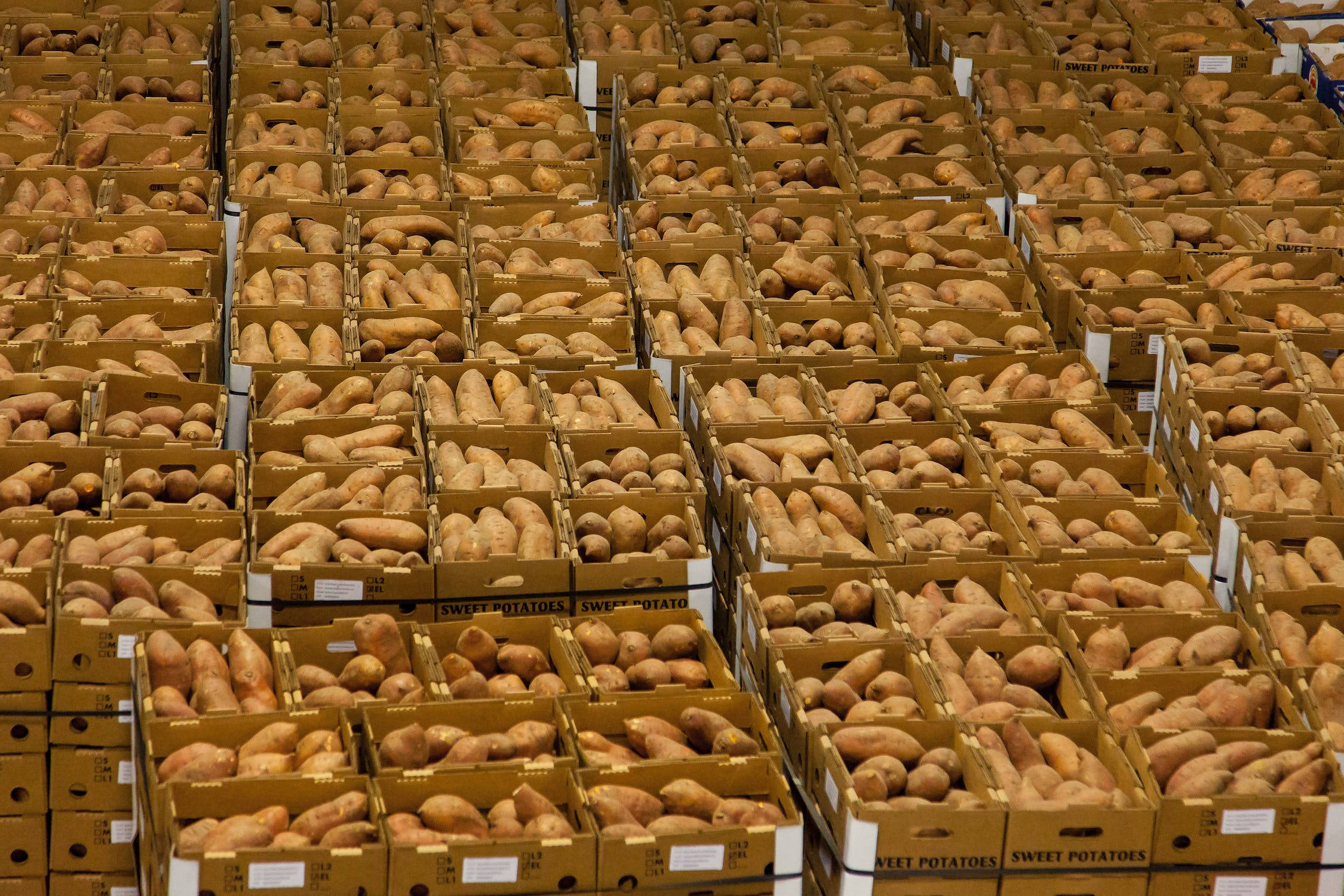 Sweet Potato, cardboard boxes, warehouse, Full HD Desktop Wallpaper