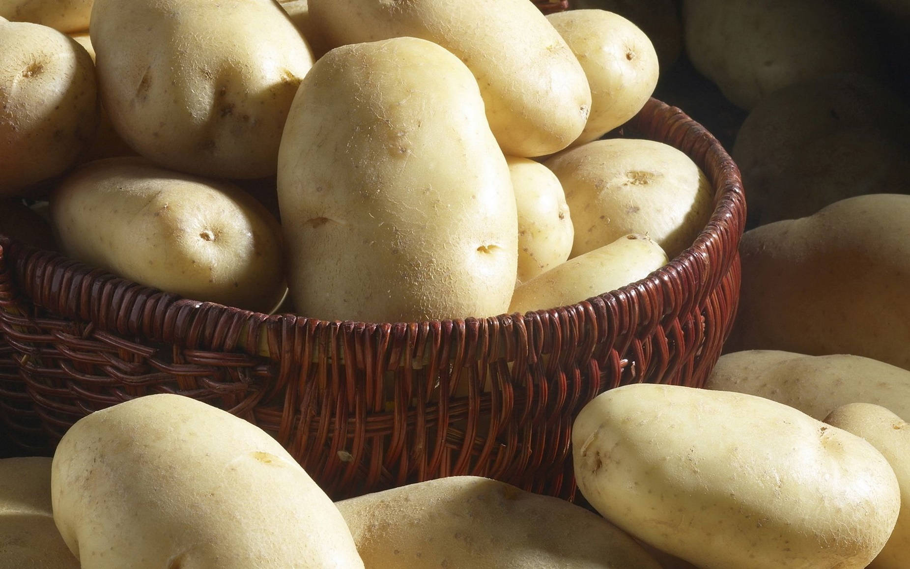 potatoes with white skins, pale yellow potatoes, sunlit basket, HD Desktop Wallpaper
