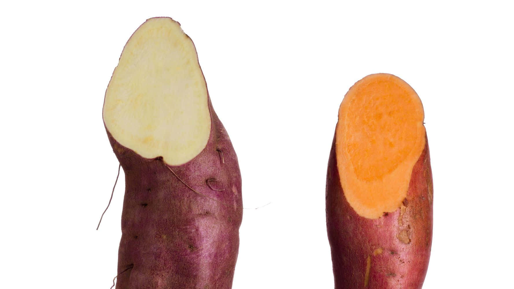 yellow sweet potato, vibrant orange, stark white background, HD Desktop Wallpaper