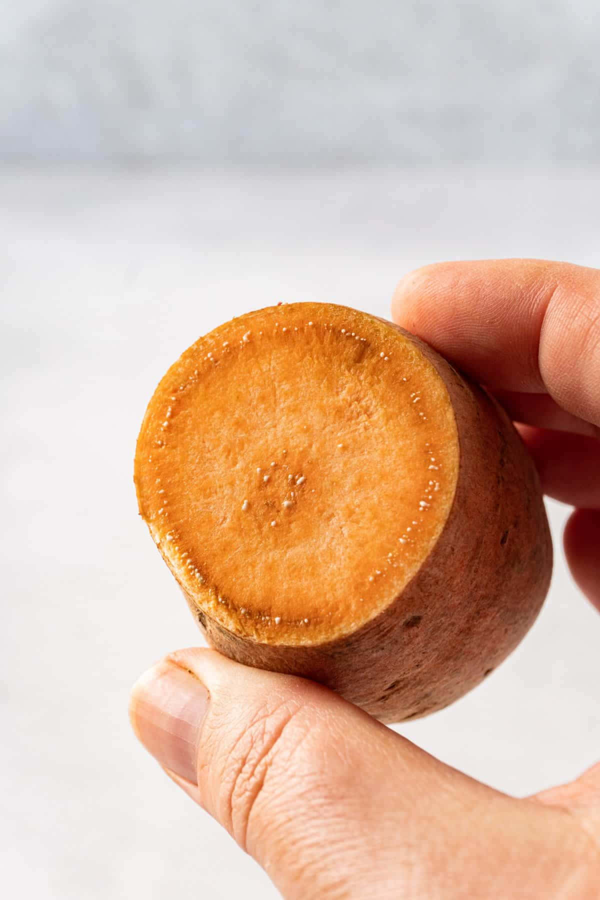 yellow sweet potato, vibrant orange flesh, soft white background, HD Phone Wallpaper