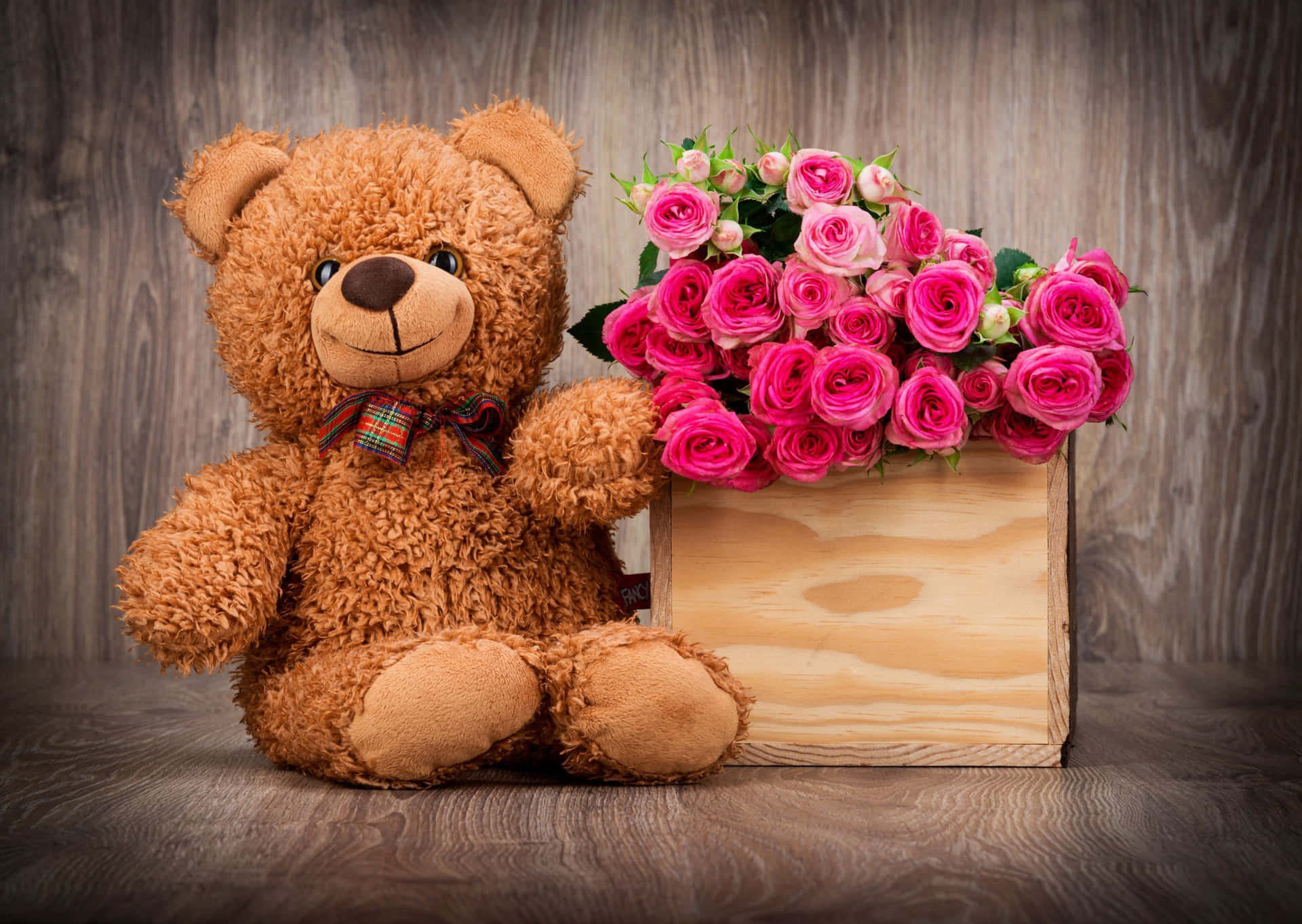 teddy bear, roses, plaid bow, Full HD Desktop Wallpaper
