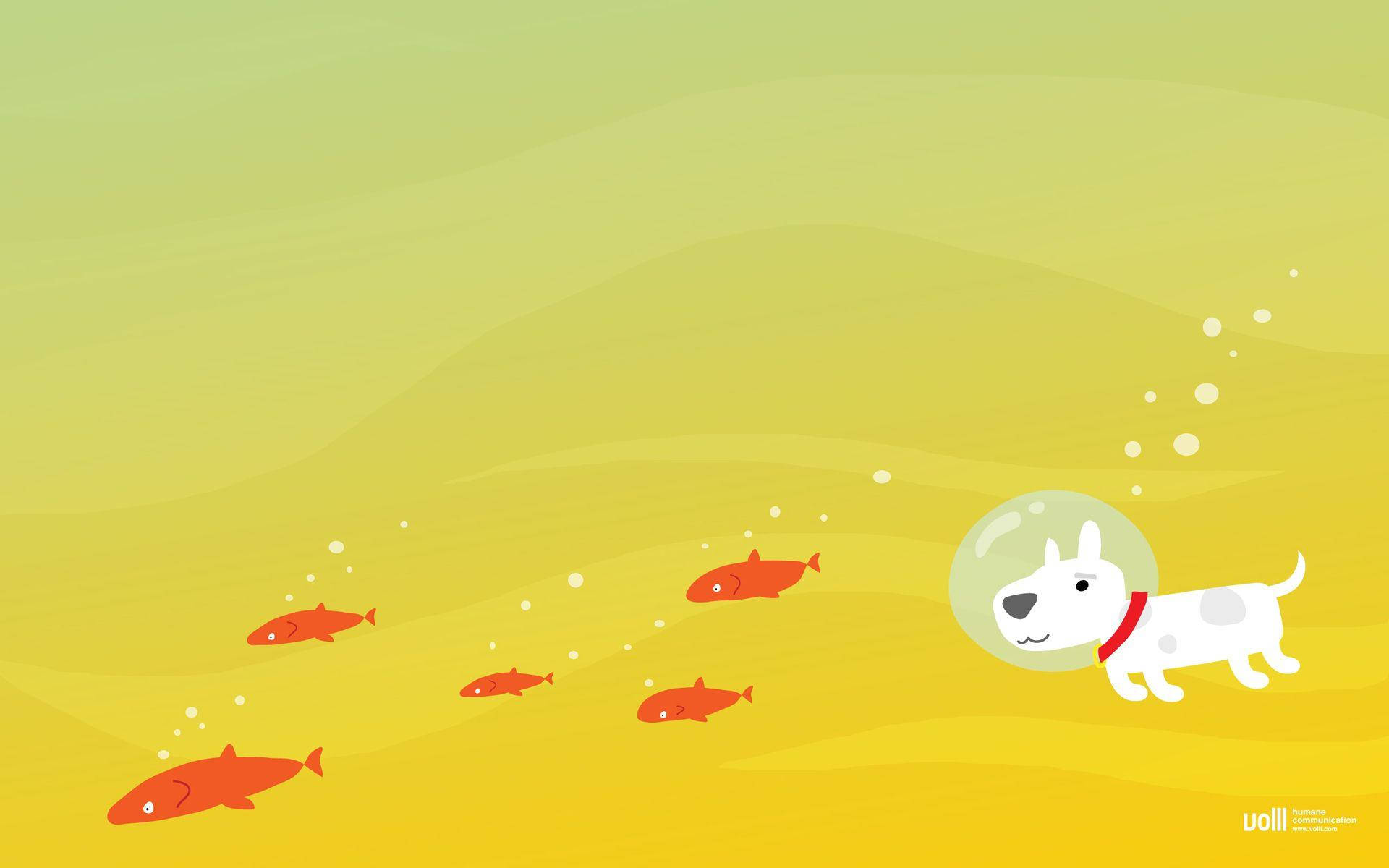 white dog, bubble helmet, red fish, Full HD Desktop Wallpaper