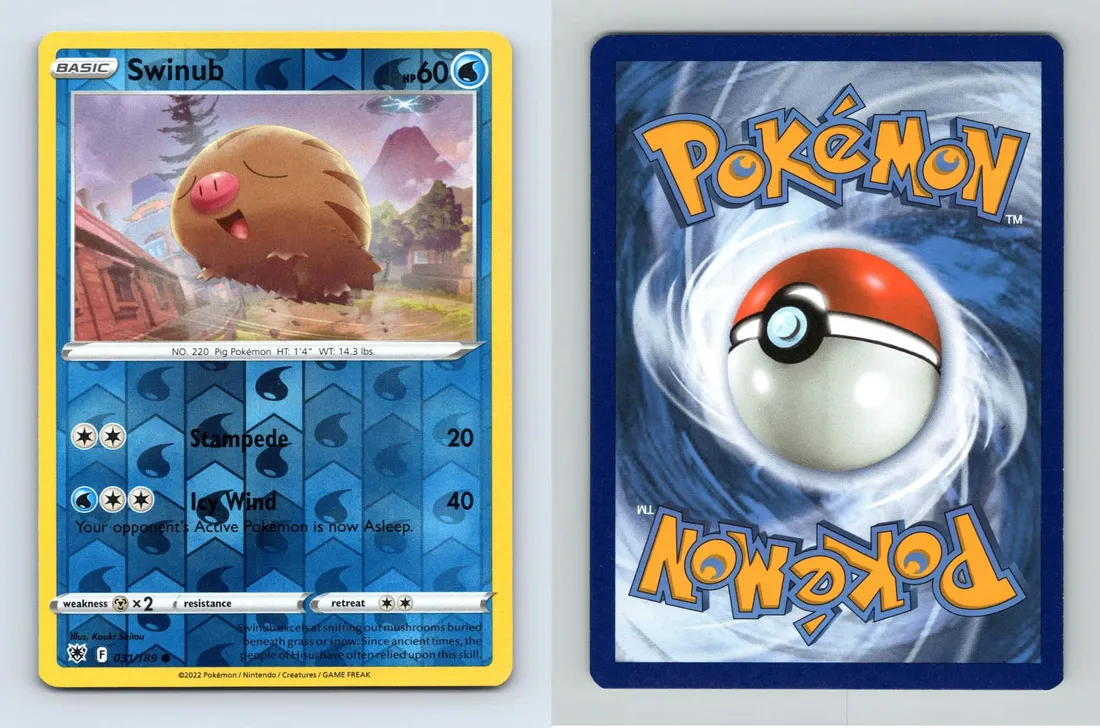 Swinub