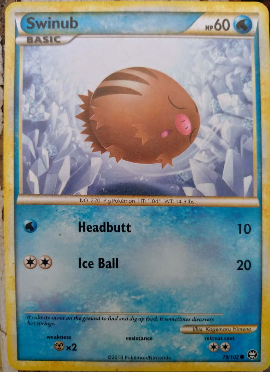 Swinub, 2010 Card, brown, HD Phone Wallpaper