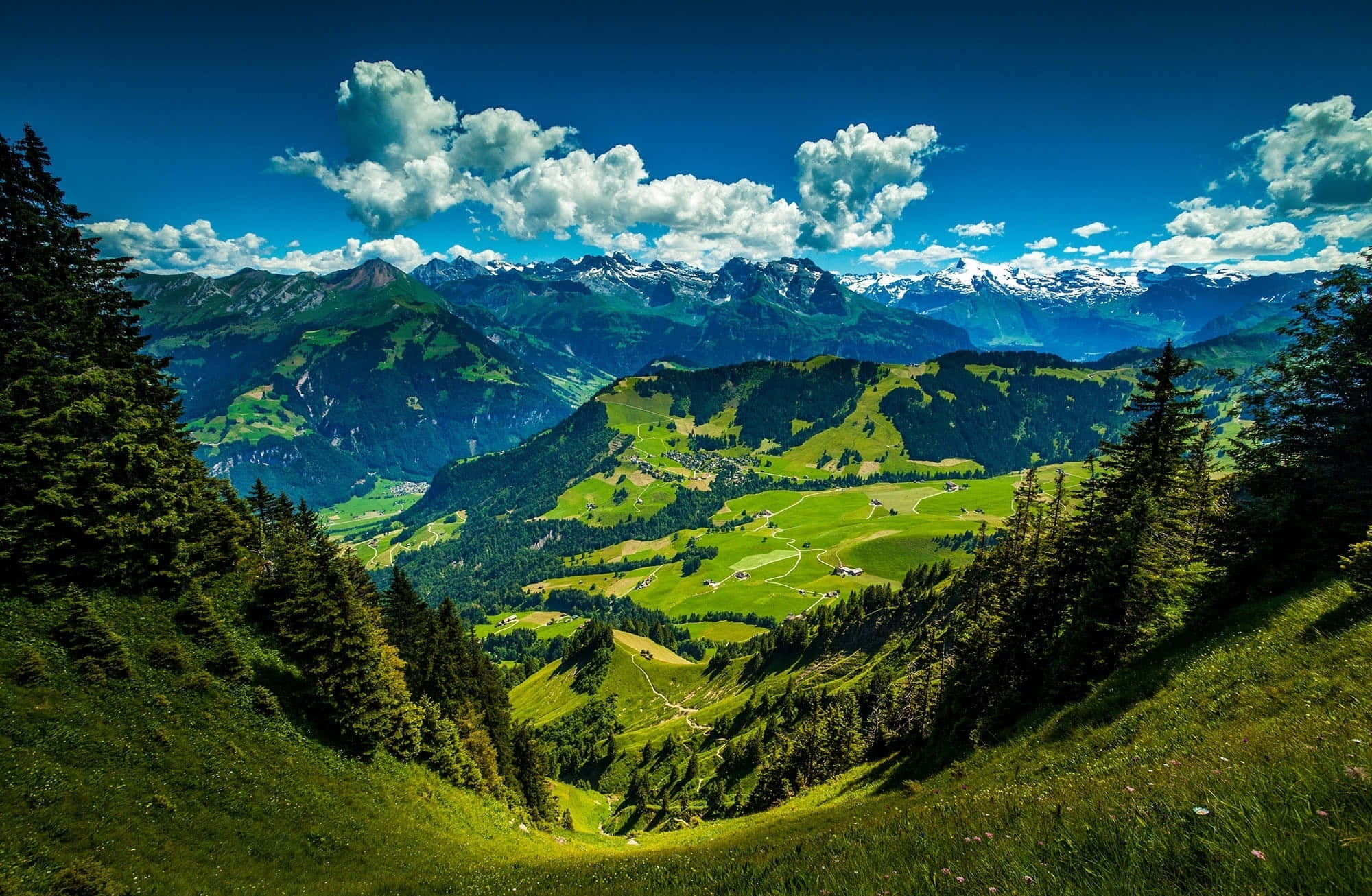 Swiss Alps, green valley, snow-capped mountains, Full HD Desktop Wallpaper