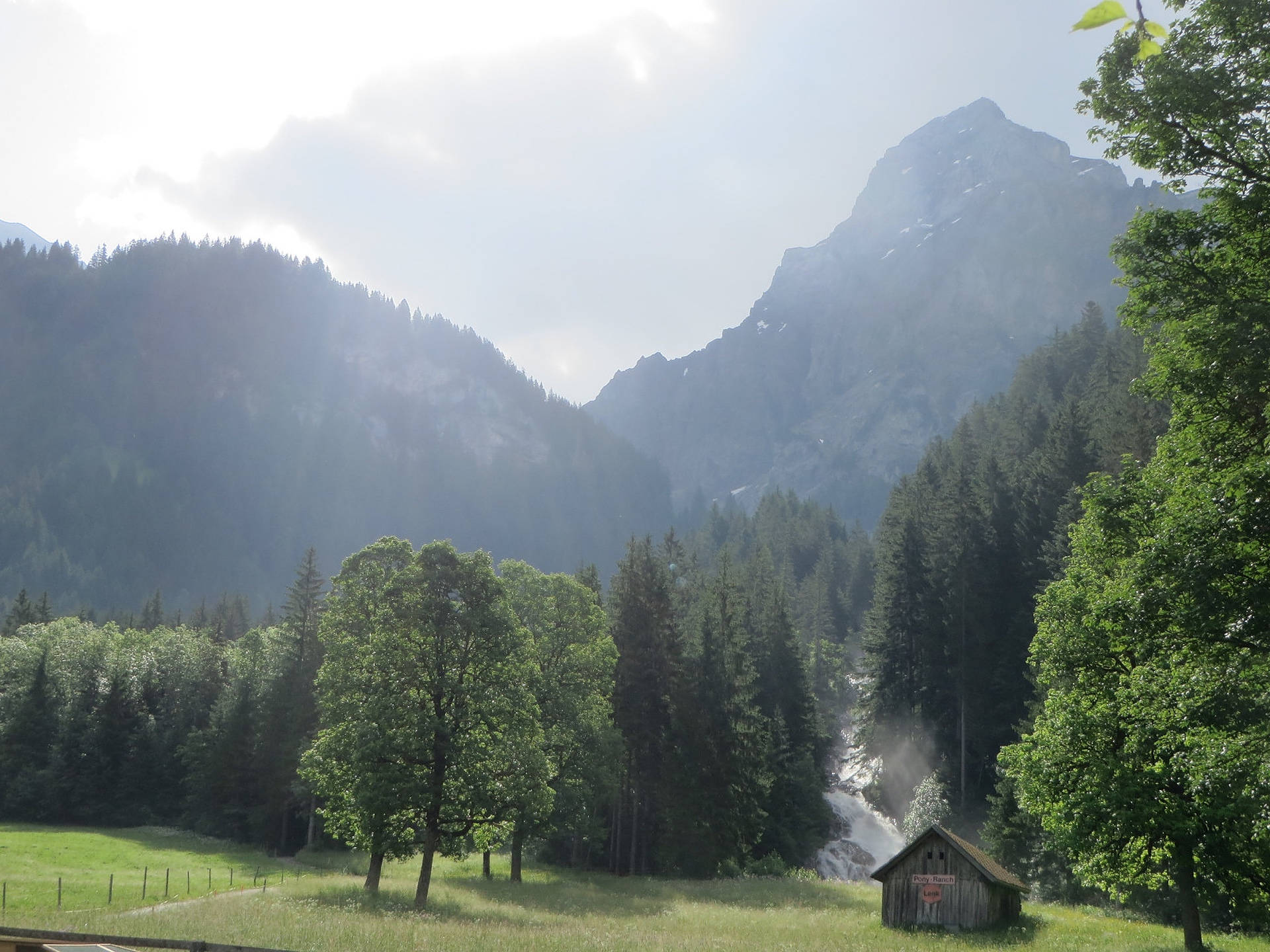 Swiss Alps, green forest, lush green trees, Full HD Desktop Wallpaper