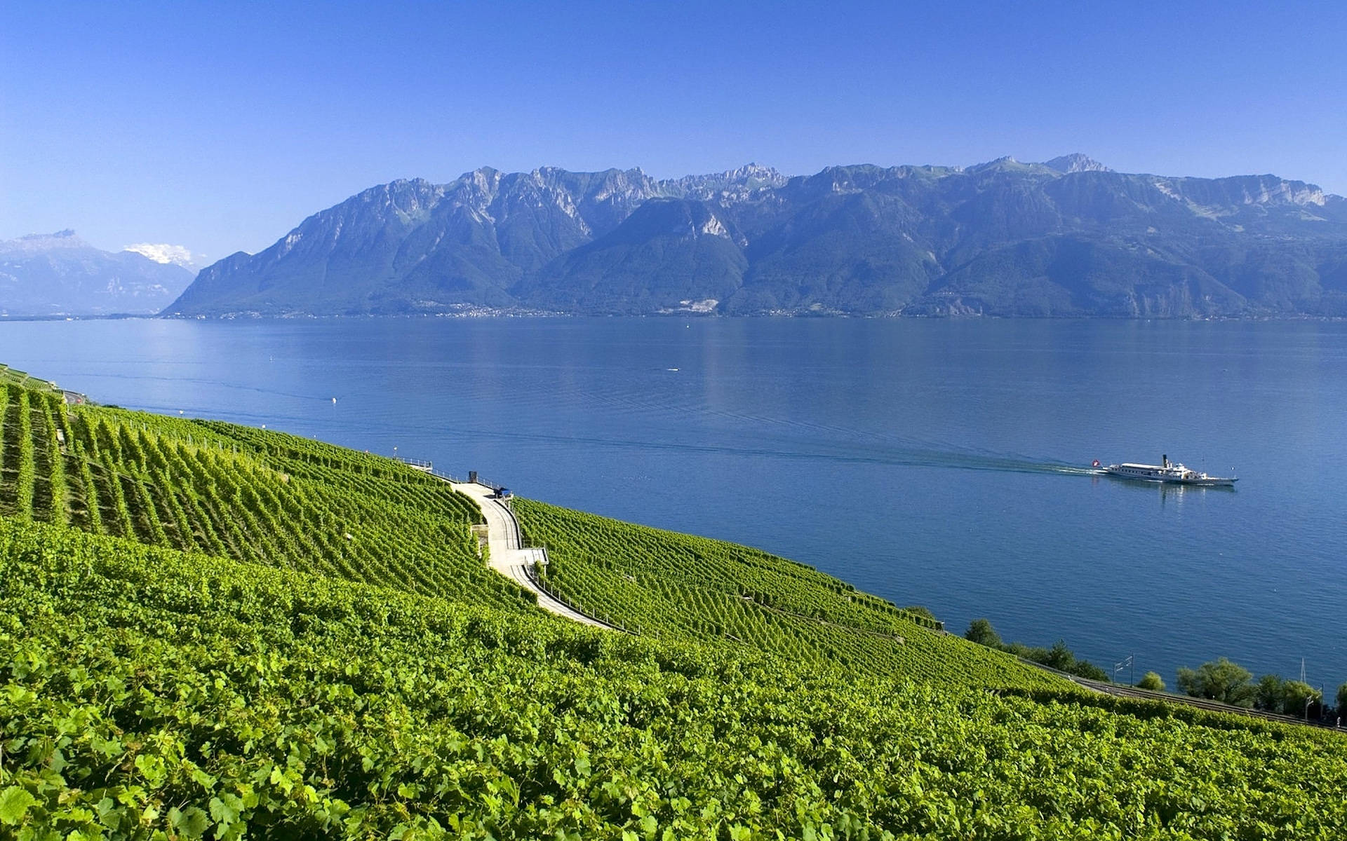 Swiss Alps, vibrant green vineyards, calm blue lake, Full HD Desktop Wallpaper