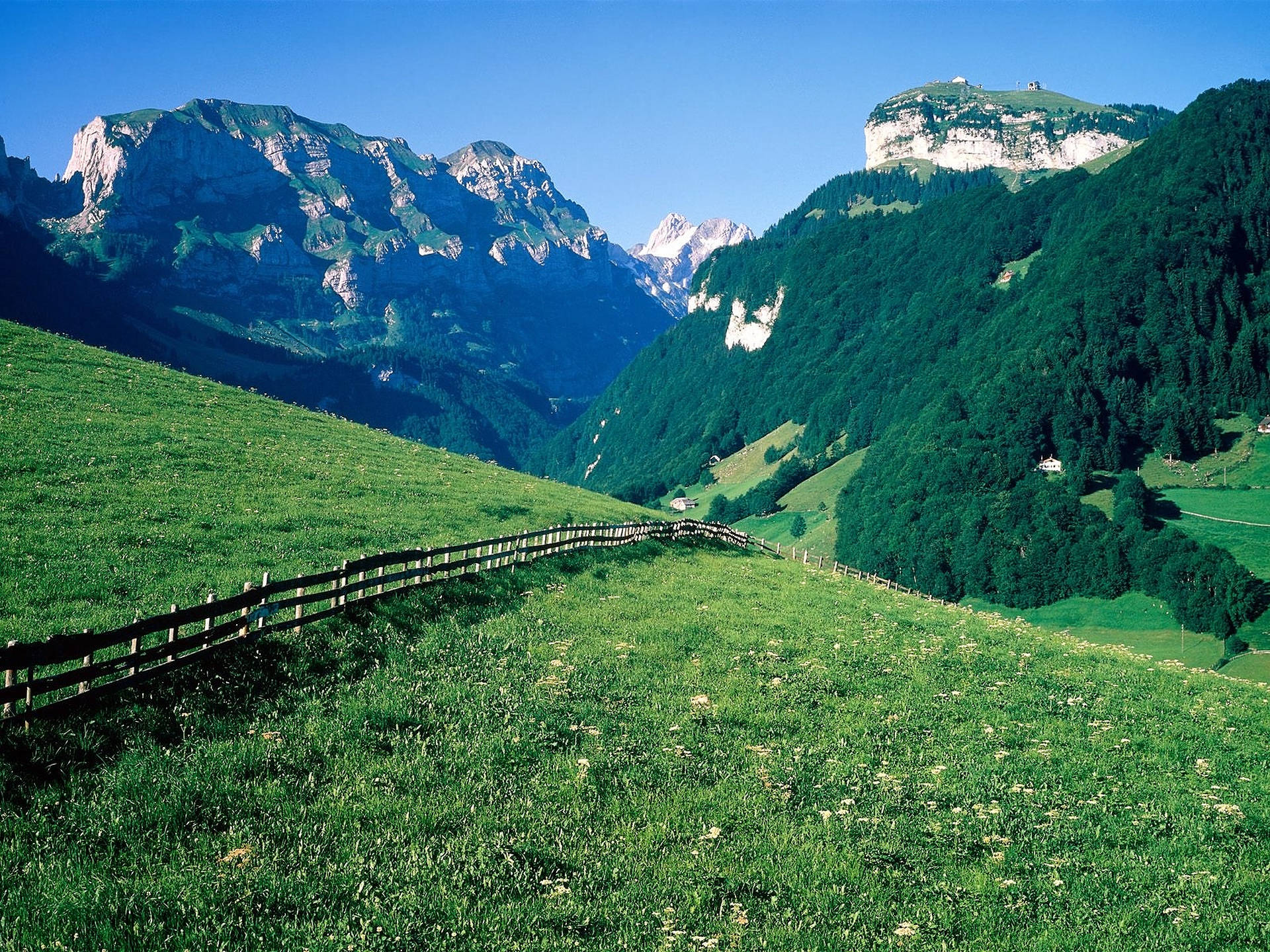 Swiss Alps, wooden fence, vibrant green meadow, Full HD Desktop Wallpaper
