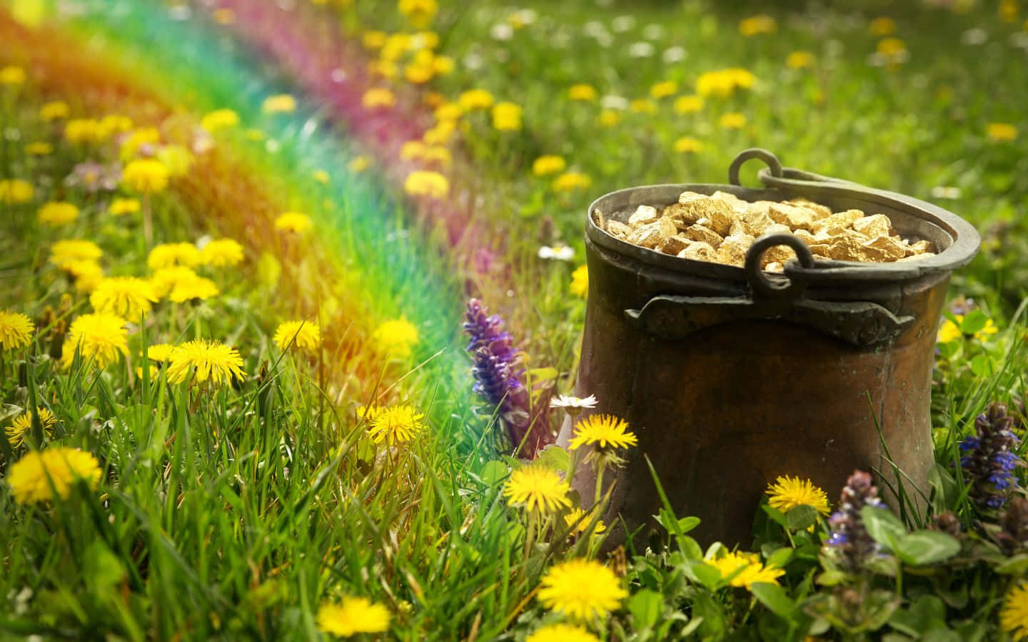 Swiss Alps, gold nuggets, sunlit meadow, HD Desktop Wallpaper