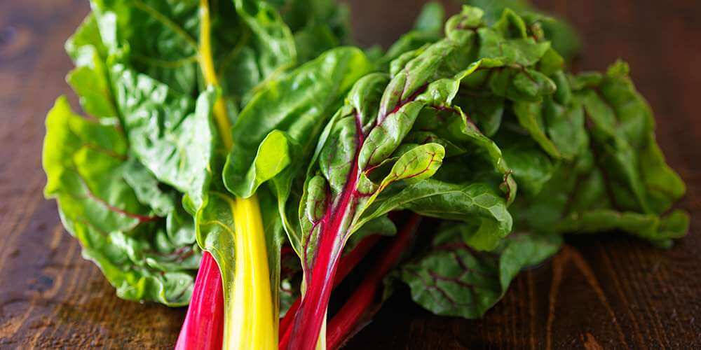 Swiss Chard, red stems, yellow stems, SD Desktop Wallpaper