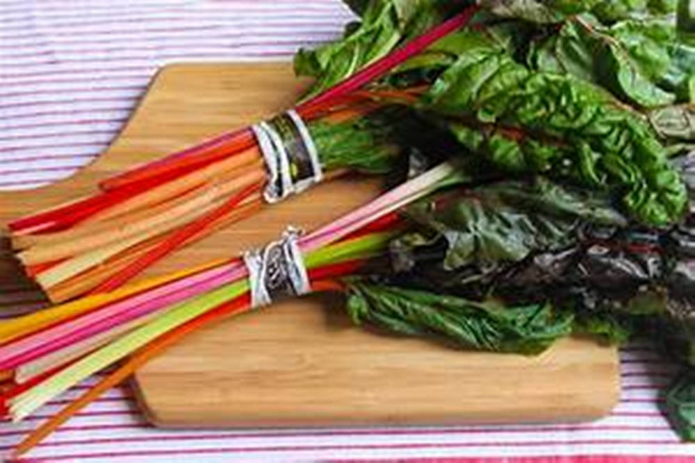 Swiss Chard, rainbow chard, colorful stems, SD Desktop Wallpaper