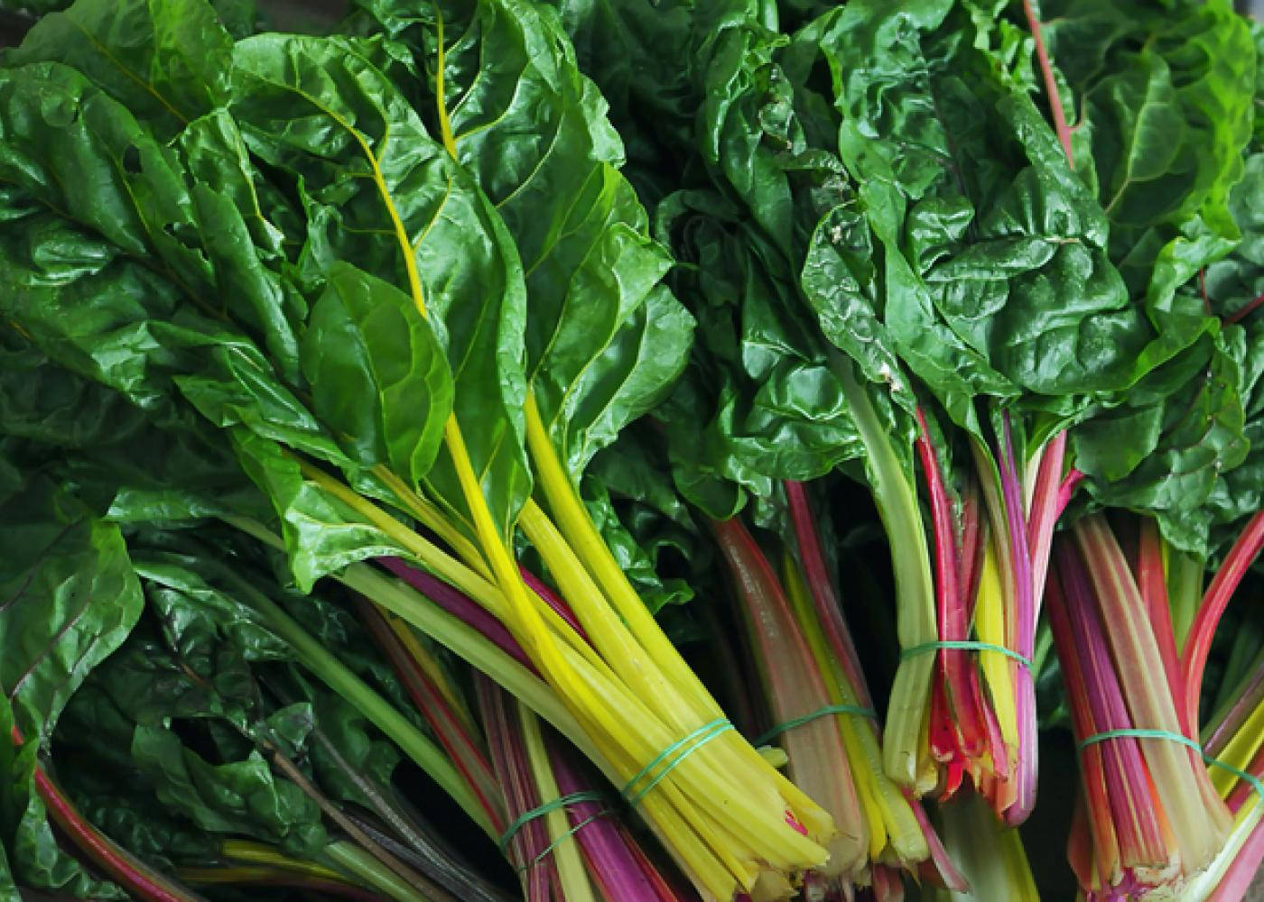 Swiss Chard, rainbow chard, vibrant green leaves, HD Desktop Wallpaper