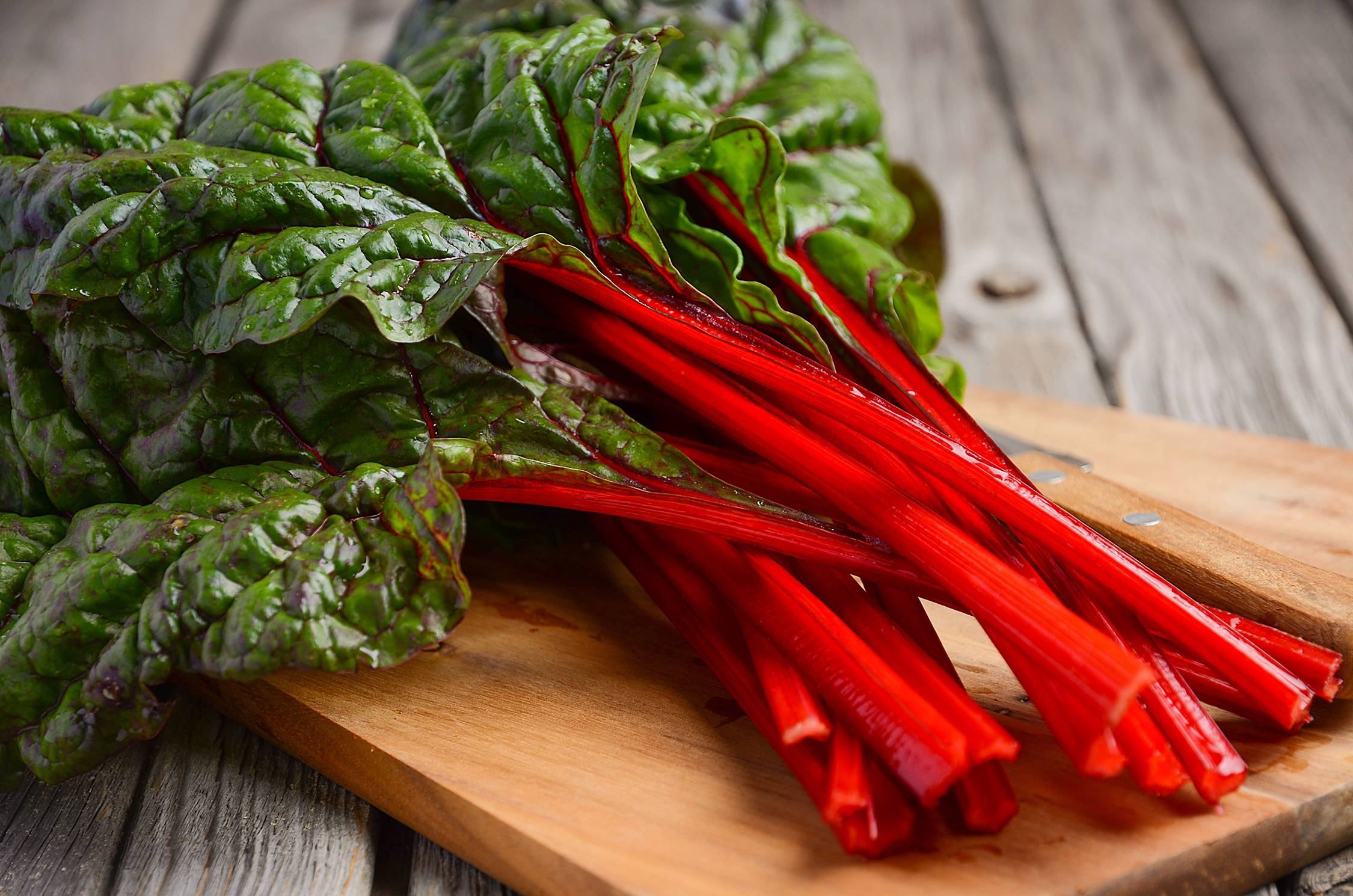 Swiss Chard, brilliant red stems, deep green leaves, Full HD Desktop Wallpaper