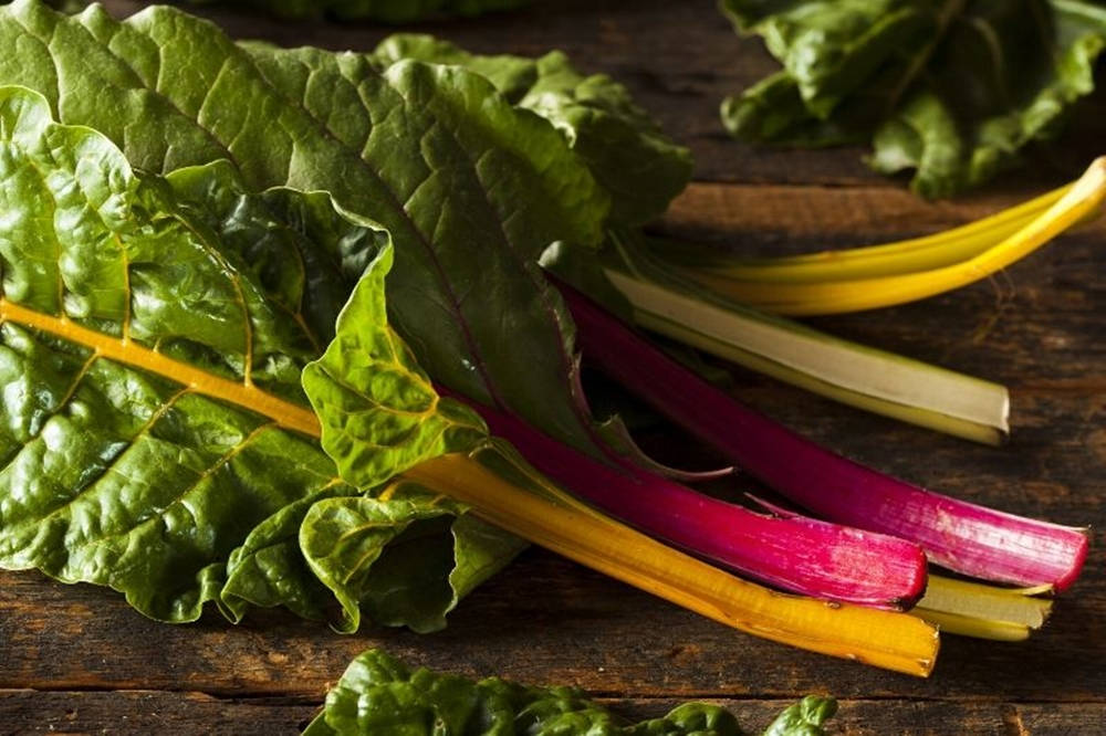Swiss Chard, vibrant green leaves, colorful stems, SD Desktop Wallpaper