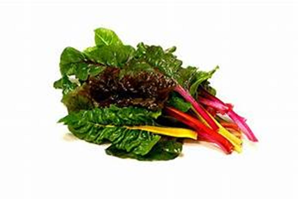 rainbow chard, deep green leaves, red yellow and pink stems, SD Desktop Wallpaper