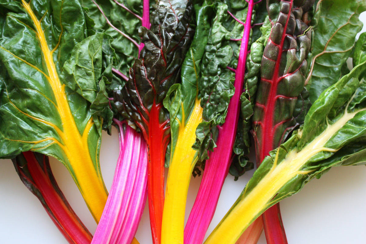 rainbow chard, yellow pink and red stems, deep green leaves, SD Desktop Wallpaper
