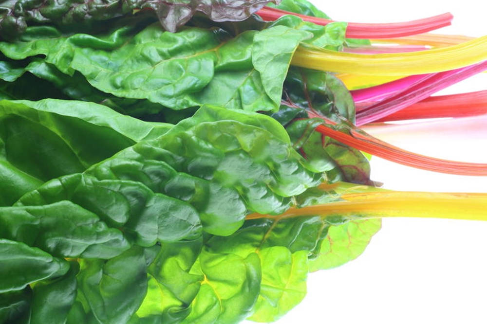 Swiss Chard, green curly leaves, red yellow and pink stems, SD Desktop Wallpaper