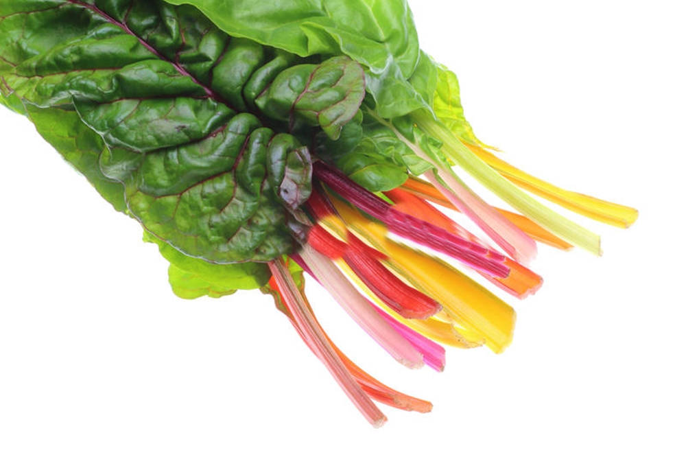 Swiss Chard, rainbow chard, deep green leaves, SD Desktop Wallpaper