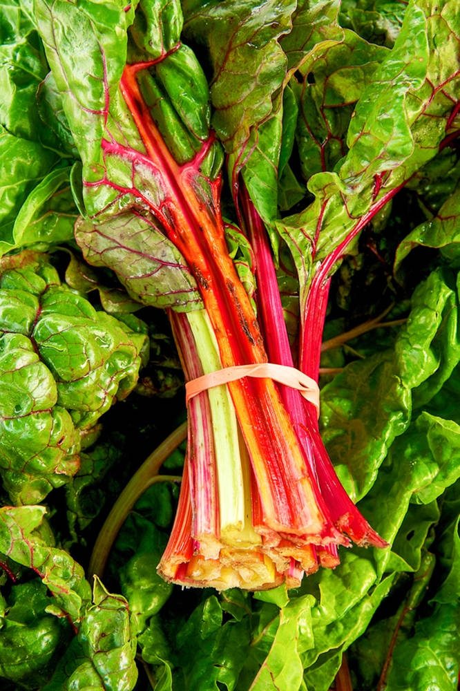 Swiss Chard, deep green leaves, vivid red stems, SD Phone Wallpaper