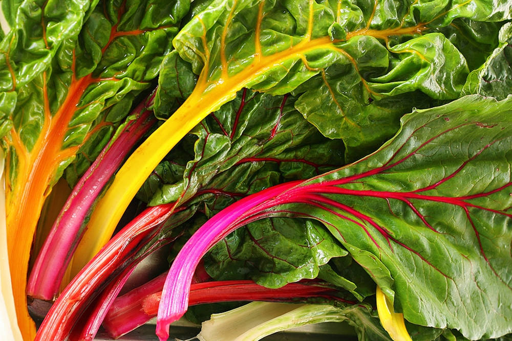 Swiss Chard, rainbow chard, orange, SD Desktop Wallpaper