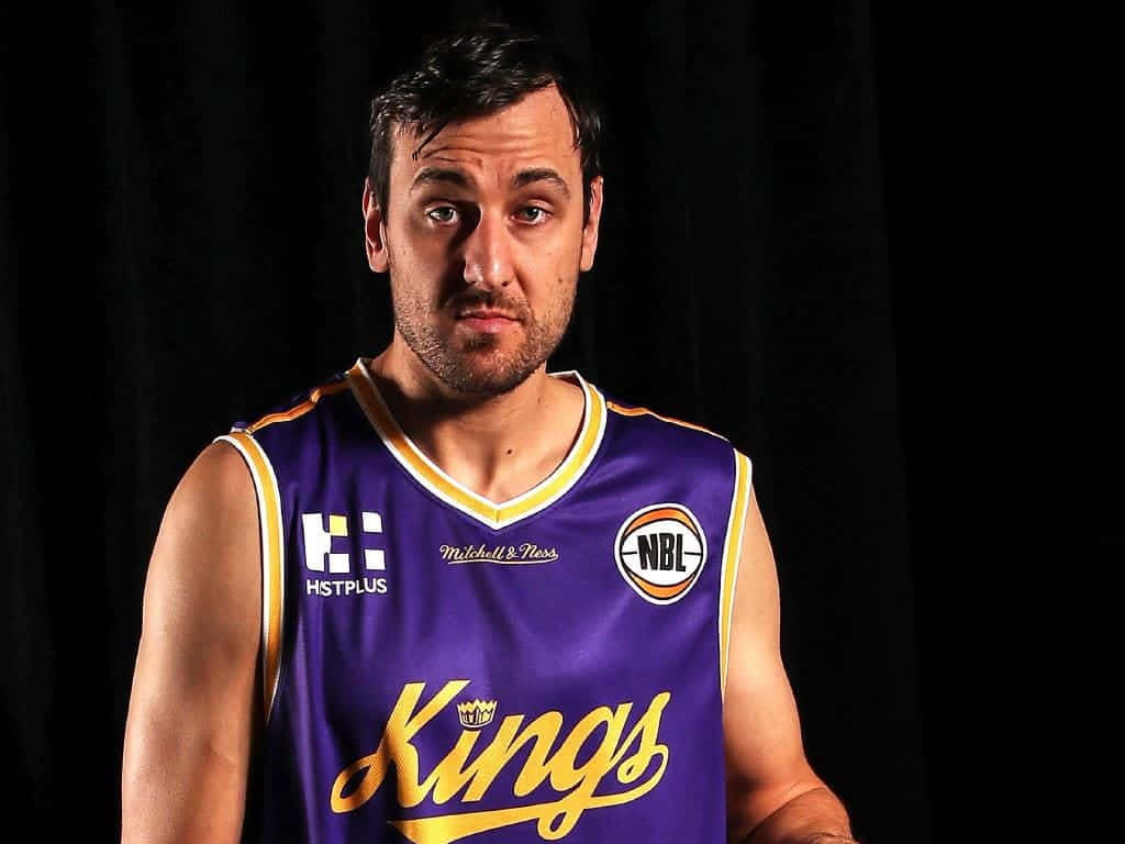 Sydney Kings, purple and gold Kings jersey, black backdrop, SD Desktop Wallpaper