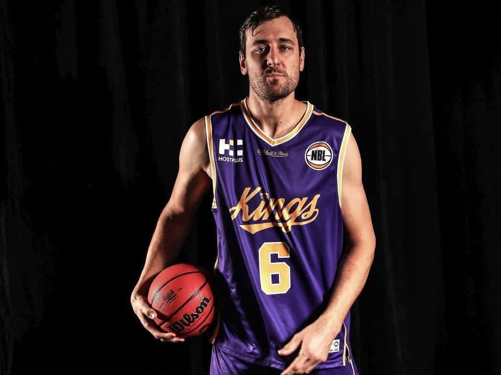 Sydney Kings, purple Kings jersey, red Wilson ball, SD Desktop Wallpaper