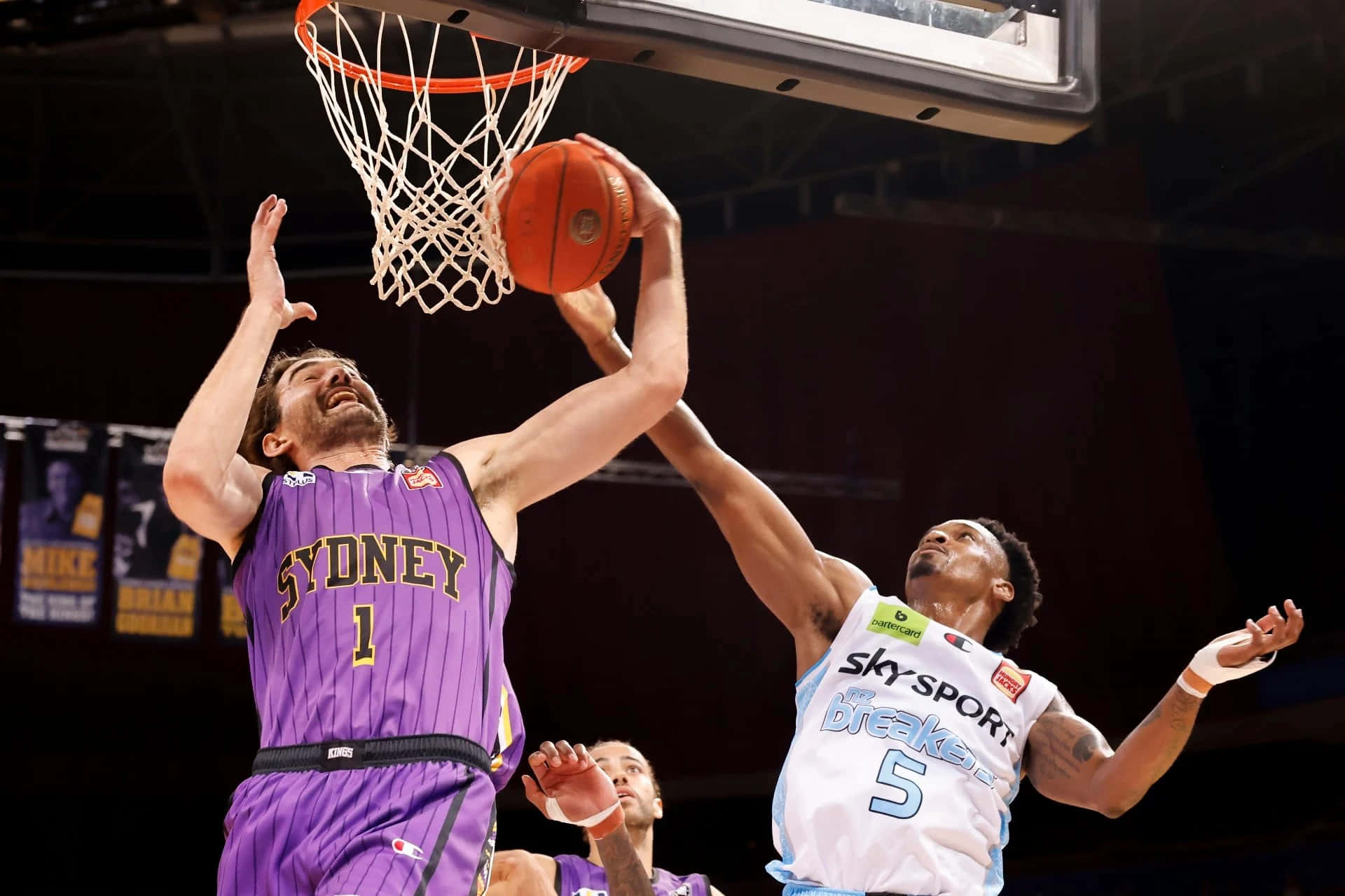 Sydney Kings, purple Sydney jersey, white jersey, Full HD Desktop Wallpaper