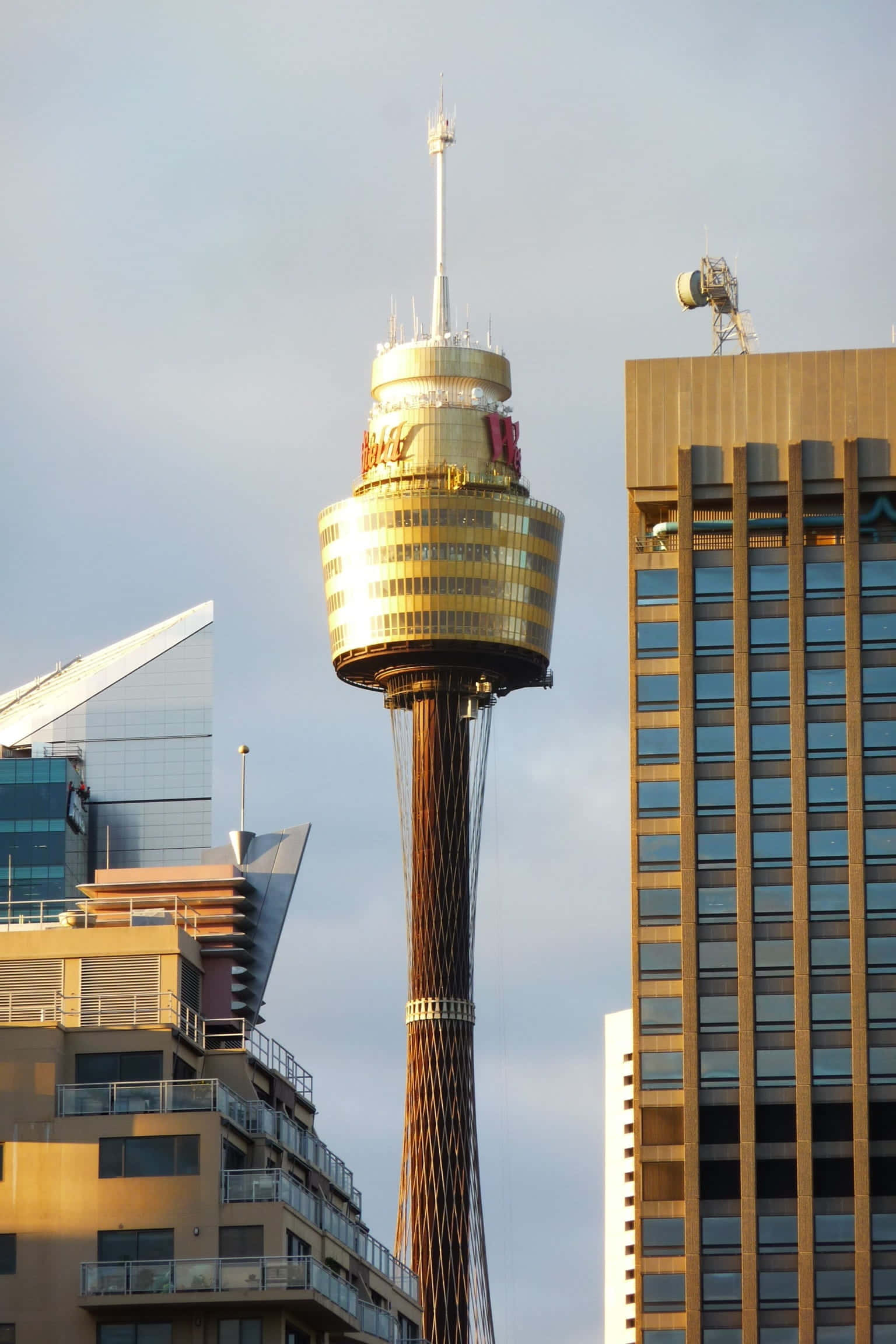 Sydney Tower Eye, gold, pale sky, Full HD Phone Wallpaper