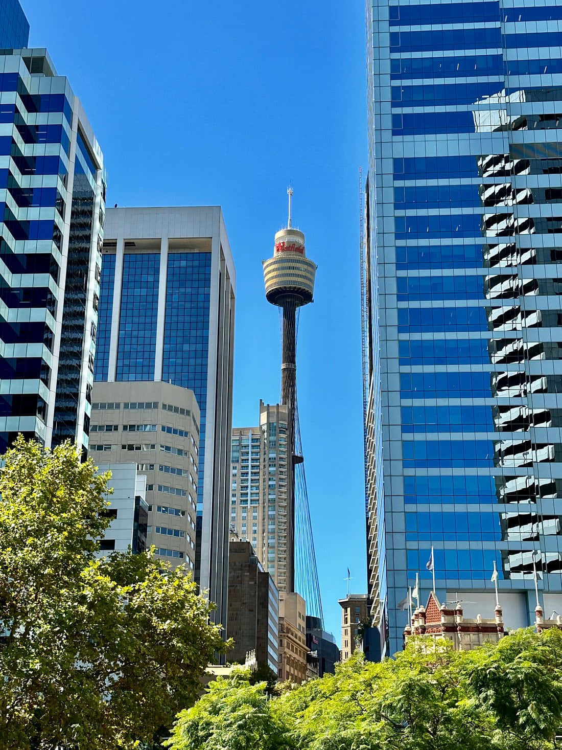 Sydney Tower Eye, glass skyscrapers, clear blue sky, HD Phone Wallpaper