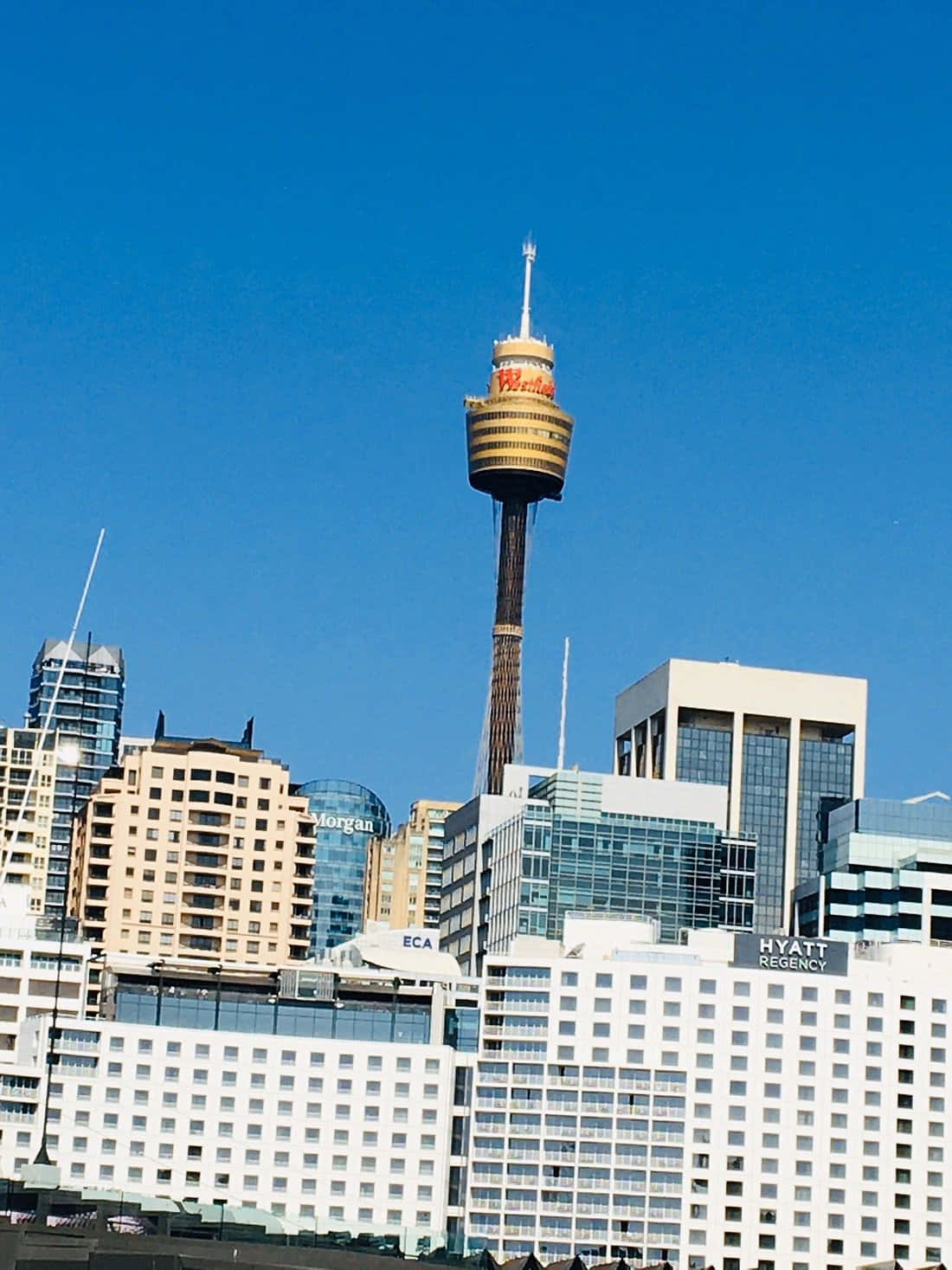 Sydney Tower Eye, modern glass and concrete skyscrapers, clear blue sky, HD Phone Wallpaper