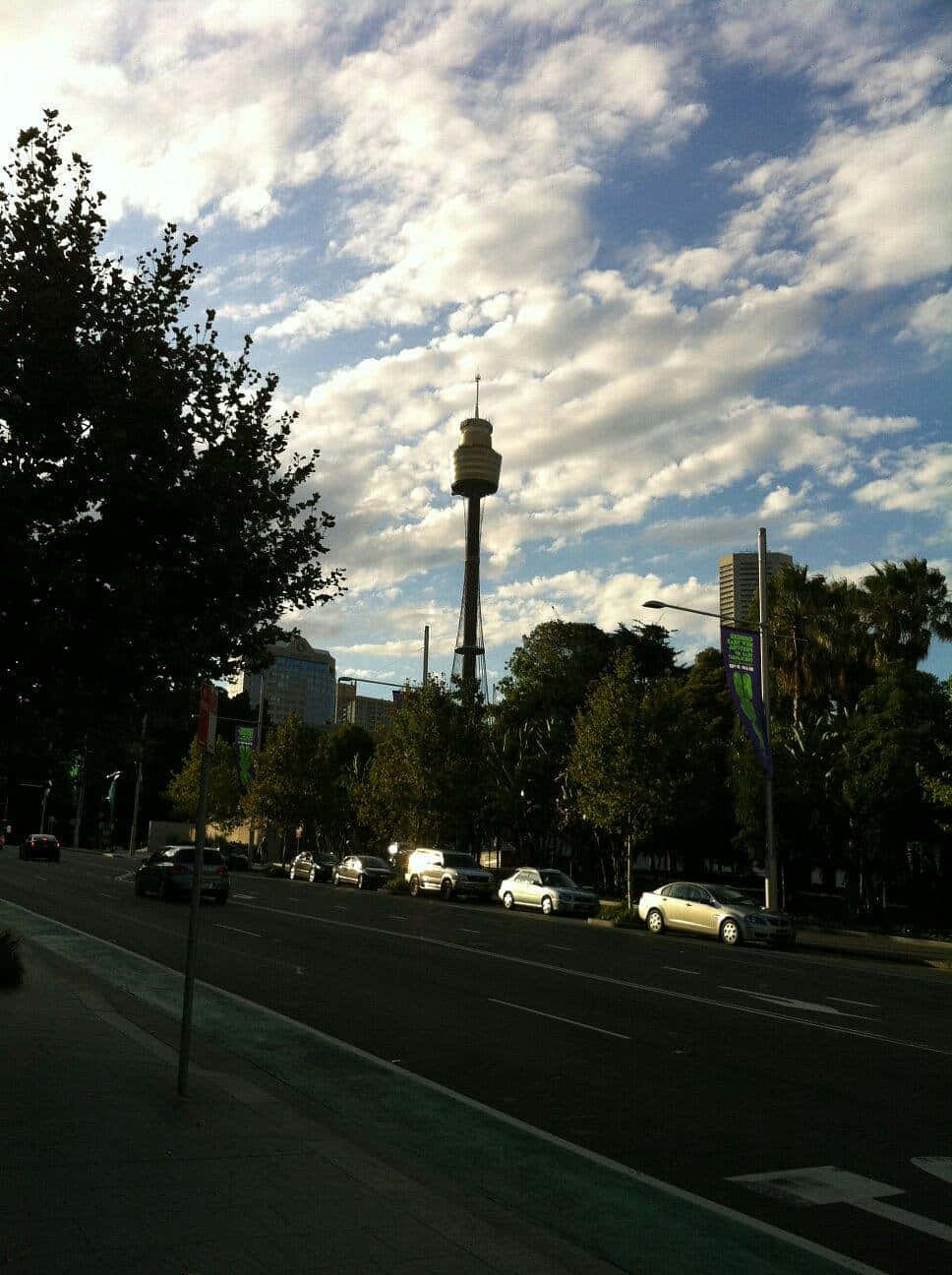 Sydney Tower Eye, dusk view, tree-lined urban street, HD Phone Wallpaper