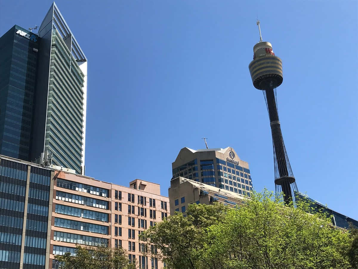 Sydney Tower Eye, modern skyscrapers, clear blue sky, SD Desktop Wallpaper