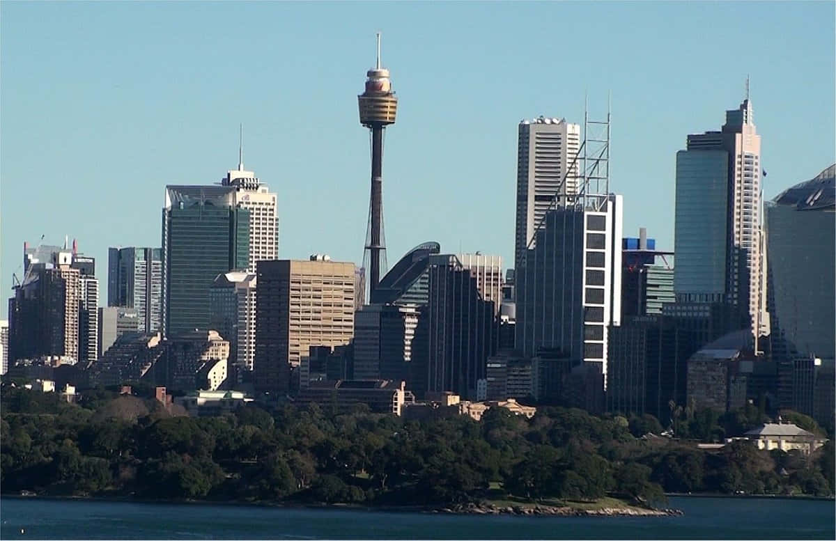 Sydney Tower Eye, Sydney skyline, modern skyscrapers, SD Desktop Wallpaper