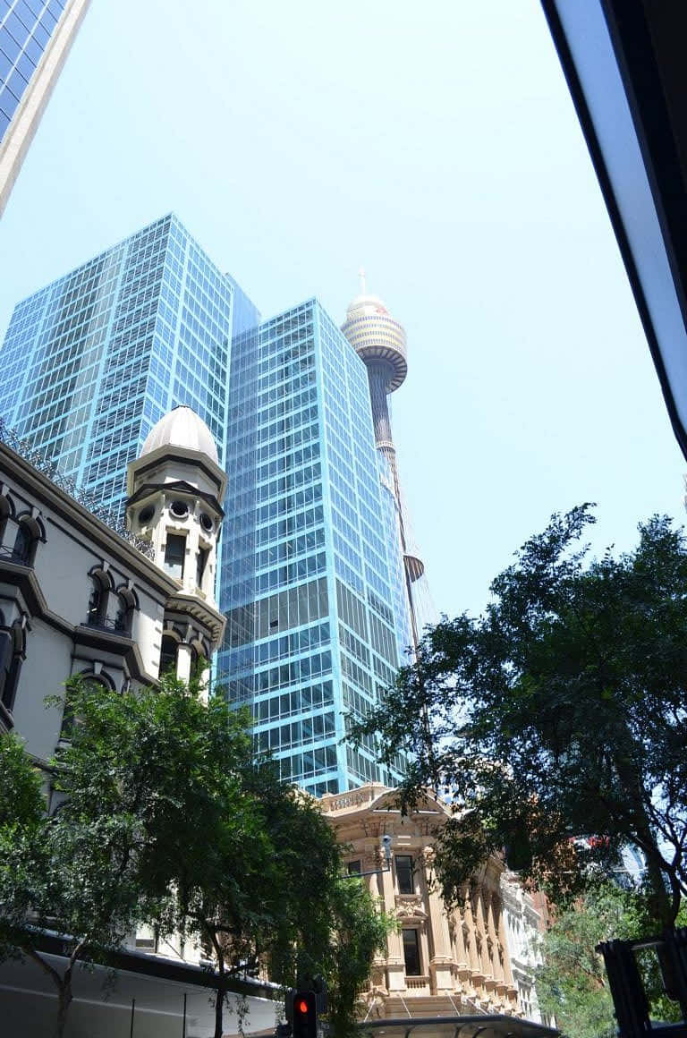 Sydney Tower Eye, glass skyscrapers, historic architecture, SD Phone Wallpaper