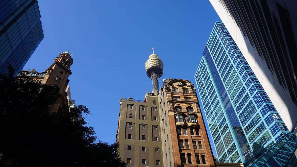 Sydney Tower Eye, urban architecture, historic brick skyscrapers, SD Desktop Wallpaper
