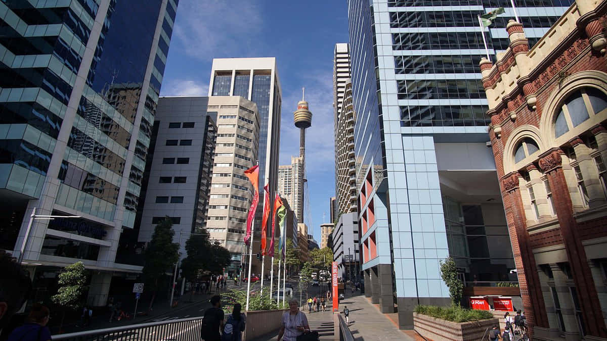 Sydney Tower, Sydney, modern glass towers, SD Desktop Wallpaper