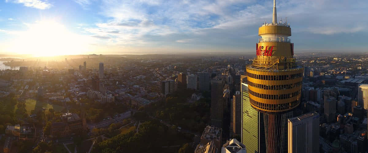 Sydney Tower Eye, sunrise, golden light, SD Desktop Wallpaper