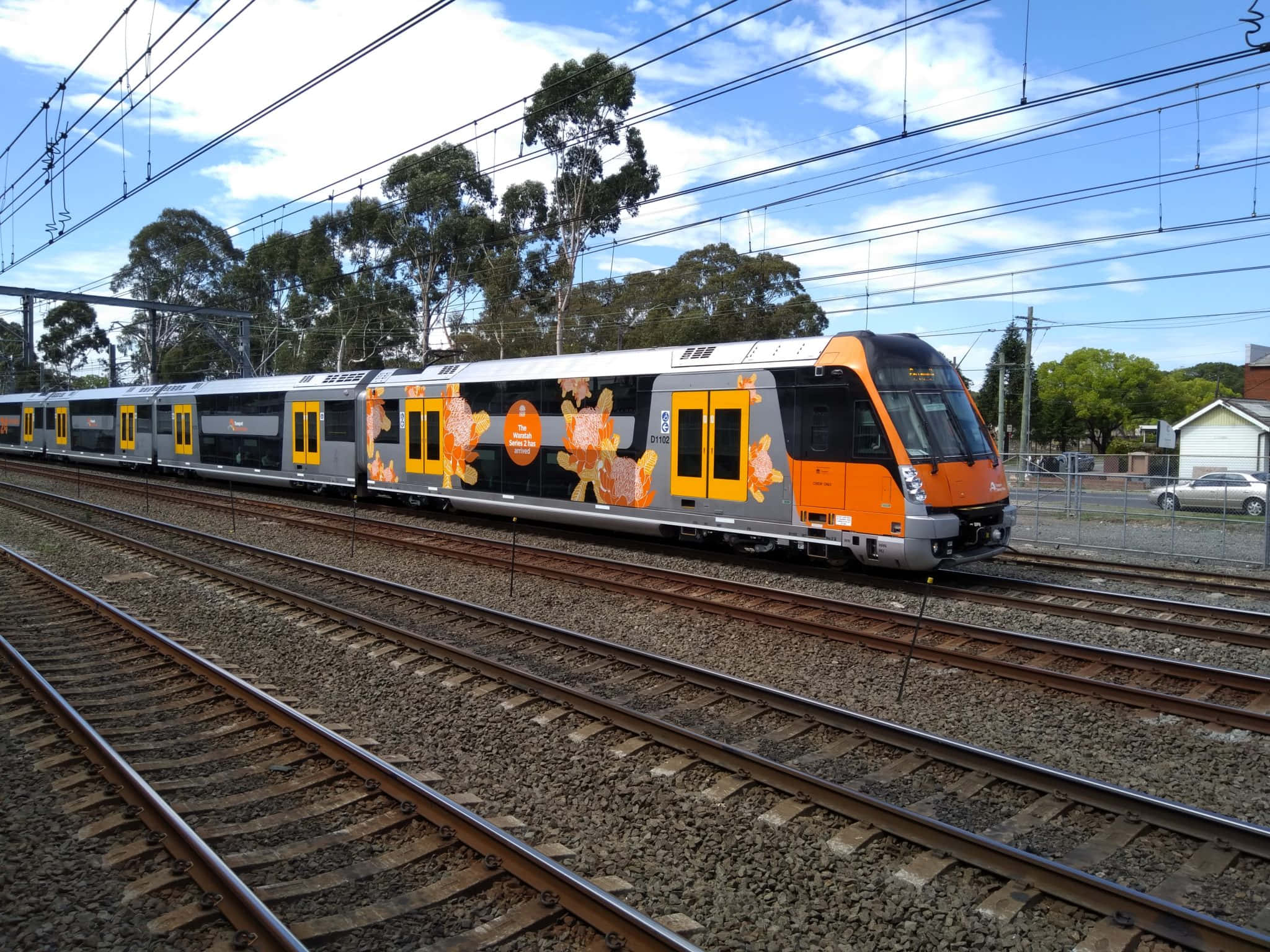 Sydney Trains, orange and silver, autumn leaf decals, Full HD Desktop Wallpaper