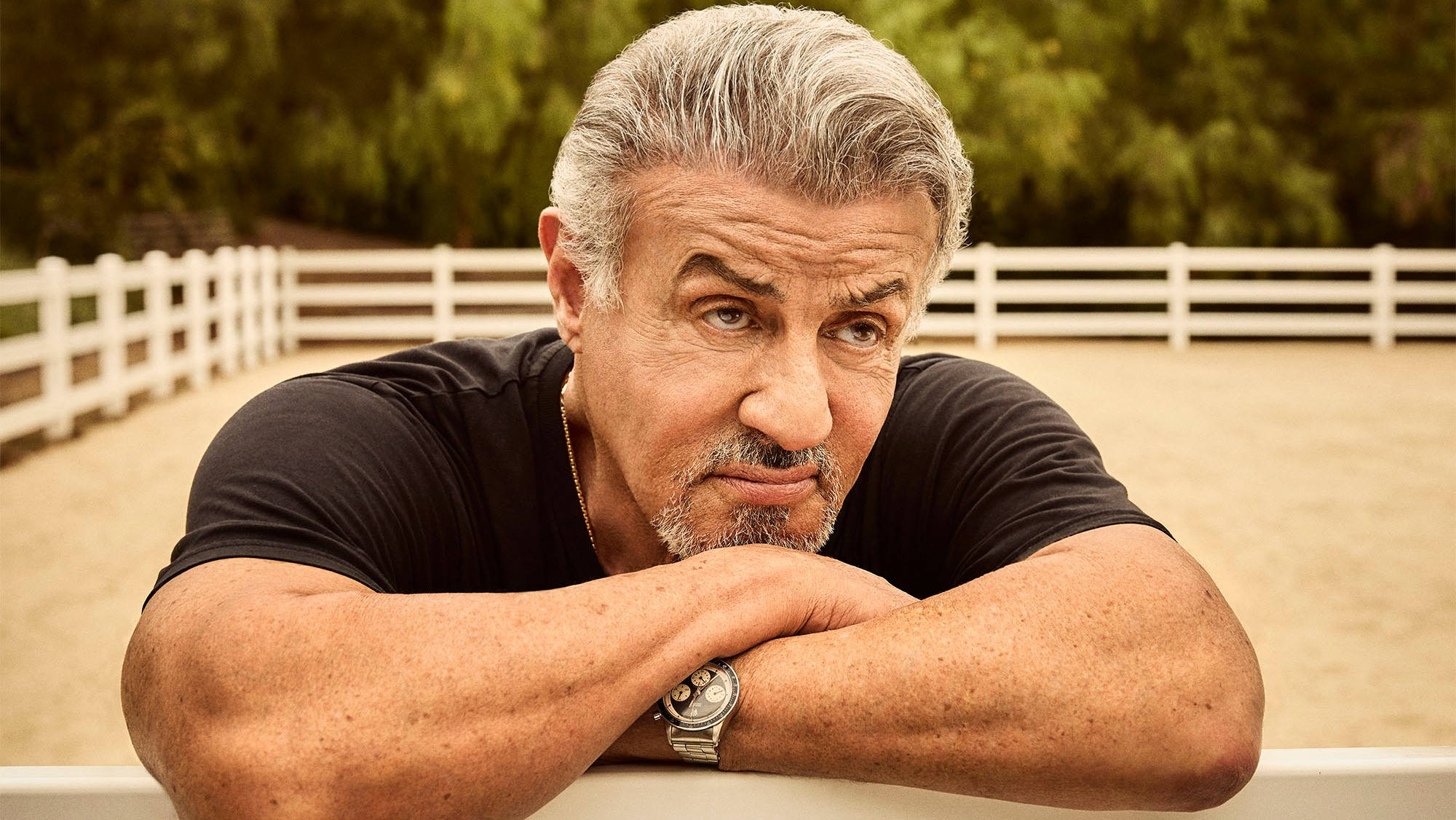 Sylvester Stallone, white fence, sunlit outdoor arena, Full HD Desktop Wallpaper