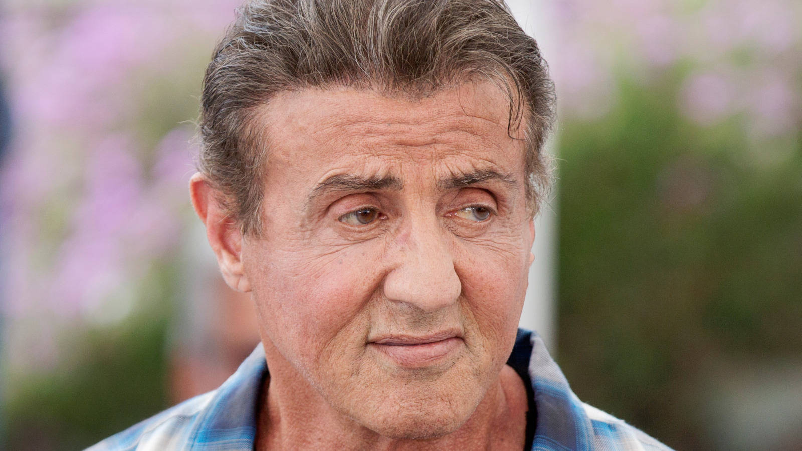 Sylvester Stallone, graying hair, thoughtful expression, HD Desktop Wallpaper