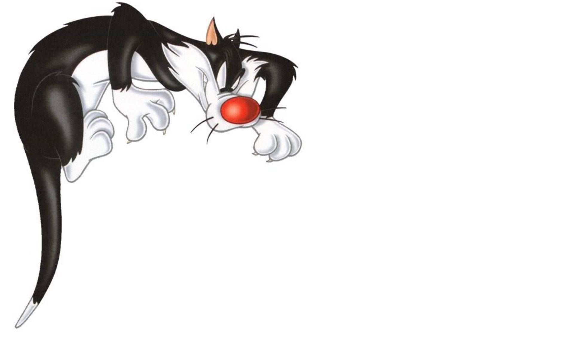 Sylvester, black and white cartoon cat, red nose, Full HD Desktop Wallpaper