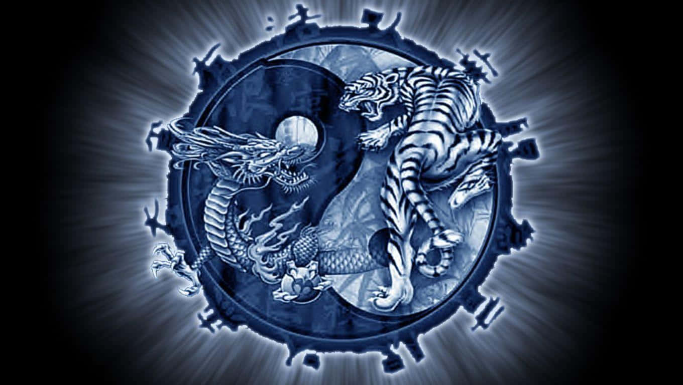 yin yang symbol, dragon, tiger, HD Desktop Wallpaper