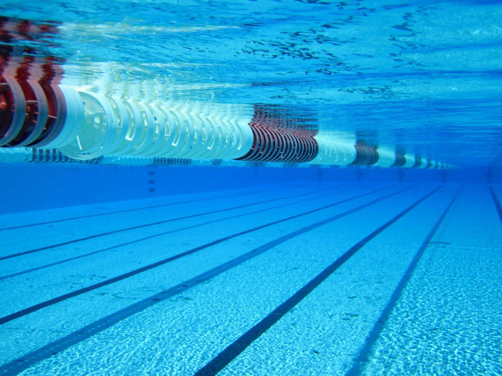 swimming pool, clear blue, lane dividers, HD Desktop Wallpaper